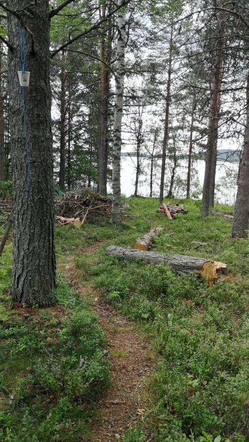 Siljonranta Villa Muonio Exteriör bild