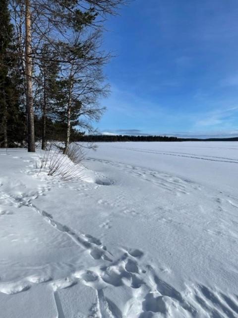 Siljonranta Villa Muonio Exteriör bild